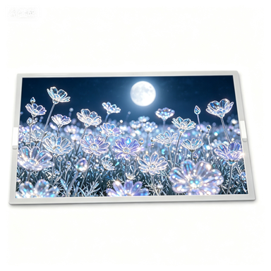 TX29D200VM0AAA 11.6 Inch 1920*1080 FHD IPS TFT LCD Module