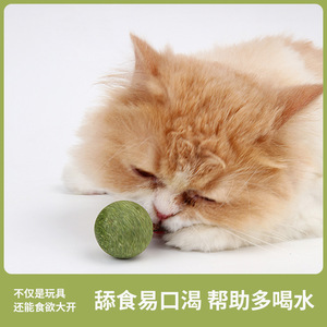 ของเล่นแมวแบบอมยิ้ม แคทนิป สำหรับดูแลช่องปากและกระตุ้นการเล่นแบบโต้ตอบ - Product Image 2