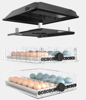 Petit incubateur populaire 128 d'oeufs Mini incubateur de volaille à usage familial portable en Europe et aux États-Unis