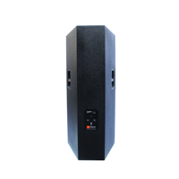 Sistema de Audio Profesional de Línea Dual de 15 Pulgadas DSZ 1000W-4000W para Escenarios al Aire Libre y Actuaciones en Interiores