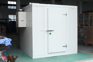 Chambre froide pour blocs de glace de 10 tonnes avec unité de compresseur - Product Image 3