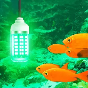 Luz LED de pesca al por mayor de 12V, impermeable, señuelo, lámpara buscadora de peces, atrae camarones, calamares, krill, cuentas de colores - Product Image 1