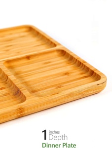 Assiettes de contrôle des portions divisées, assiettes à dîner sectionnées bariatriques/diabétiques, plateaux de diviseur de régime équilibré pour la perte de poids - Product Image 3