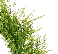 Vente en gros de guirlande suspendue de simulation de plante artificielle, herbe, fleur artificielle pour décoration de jardin intérieur et extérieur