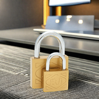 Vente en gros de mini arrêts de porte en fonte de 25mm Cadenas de sécurité de haute qualité en laiton avec 3 clés en fer pour usage domestique de toutes tailles