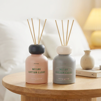 Parfum personnalisé de haute qualité désodorisant pour la maison arôme bouteille en verre de luxe diffuseur de roseau avec des bâtons