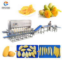Fabrieksleverancier van mango-schilmachines en mango-snijmachines voor fruitverwerkingsbedrijven, mango-verwerking voor productie.