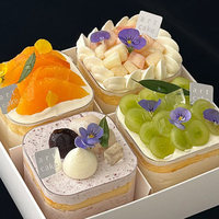Boîtes en plastique PS transparentes carrées et rondes, écologiques, recyclables, en acrylique pour dessert, boîte à gâteau, mini boîte à tiramisu