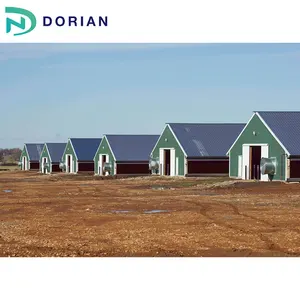 Estrutura de aço aves quebrador de galinhas construção fazenda