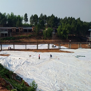 Revestimiento Compuesto de Geotextil y Geomembrana para Estanques Decorativos y Elementos Acuáticos - Product Image 5