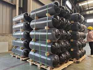 في جميع أنحاء العالم!!! 60 لتر 20B جودة عالية وسعر CNG من النوع 1 مضغوط طبيعي - Product Image 3