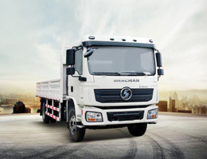 2025 새로운 SHACMAN 210HP 10 톤 4X2 화물 트럭 L3000 알제리 - Product Image 1