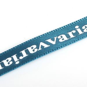 Hot Sale Customized Printed <b>Webbing</b> Tape Nylon <b>Webbing</b> Strap Garment Accessories Printed Ribbon Gift Wrap - Product Image 4