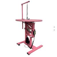 Table de toilettage pour animaux de compagnie à hauteur réglable électriquement, station de toilettage professionnelle pour chiens et chats, pour la maison, le salon, la clinique