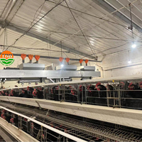 Un type 96/120/128/160 oiseaux cage de couche de poulet équipement automatisé d'alimentation des animaux pour les poules pondeuses