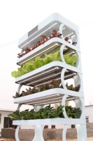Mini système de culture hydroponique en PP, petit armoire de culture intérieure pour légumes, économie d'eau