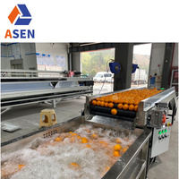 Fruitwas-En Sorteermachine Voor Bladgroente Wasmachine-En Droogmachine Voor Het Wassen Van De Groenten