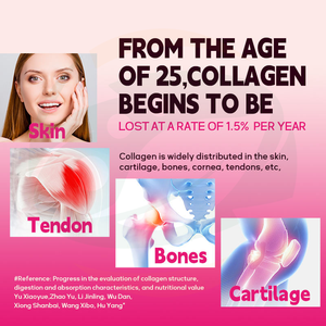 Großhandel Hochwertiges Erwachsenen-Multikollagen-Peptidpulver für Hautaufhellung & Immununterstützung Lebensmittelqualität Großpackung - Product Image 2