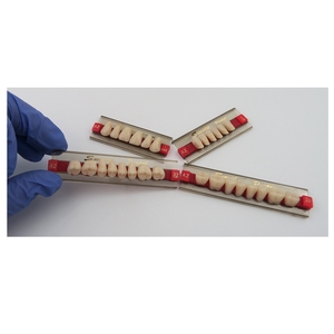 Dentiera dentale in resina sintetica a 3 strati in acrilico con denti finti bocca piena - Product Image 4