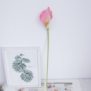 Chất Lượng Cao Nhân Tạo 3D In <span class=keywords><strong>Calla</strong></span> <span class=keywords><strong>Lily</strong></span> Duy Nhất Thân Cây Cho Nhà Sử Dụng Thích Hợp Cho Ngày Valentine Và Trang Trí Đám Cưới - Product Image 4