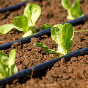 1 Hectare Agrícola Farmland Sistema de Irrigação por Gotejamento Kit Completo 16mm Inner Flat Emitter Double Holes Layflat Mangueira Drip Tape - Product Image 2