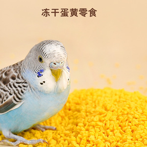 Gránulos de Yema de Huevo Liofilizada, Alimento para Aves, para Loros, Periquitos, Cacatúas, Recompensas de Entrenamiento, Suministros para la Cría, 260 ml - Product Image 2