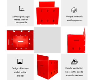 Hộp lưu trữ nhựa chống va đập có thể tái chế có thể tùy chỉnh với mẫu in cho màn hình triển lãm Nông Nghiệp trái cây - Product Image 5