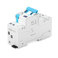Disjoncteur intelligent WiFi ZigBee Type Graffiti 2P-C40 en cuivre, capacité de coupure 10kA, protection contre les fuites 230V/400V