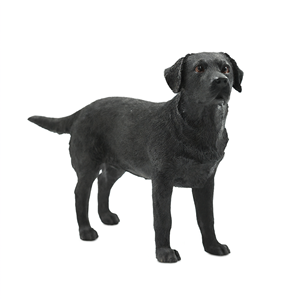 Figura de Perro Labrador Negro de Resina Etechan - Product Image 2