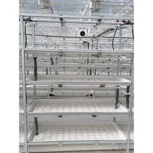 ABS Multi-layer Growth Planting Frame For Soilless Cultivation Of Plants And Vegetables In Greenhouse