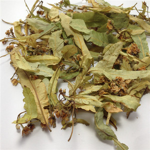 Thé de <span class=keywords><strong>tilleul</strong></span> chinois <span class=keywords><strong>en</strong></span> vrac, feuilles de <span class=keywords><strong>tilleul</strong></span> séchées à prix avantageux - Product Image 5
