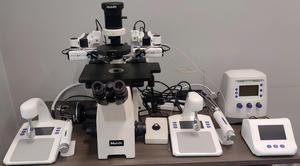 Microscopio de Contraste con Modulación Hoffman MF53-PMC para aplicaciones de asistencia reproductiva IVF - Product Image 6