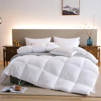 Ensemble de literie en duvet Alternative Designer Luxury Comforter Sets Duck Down Quilt Goose Down Quilts
