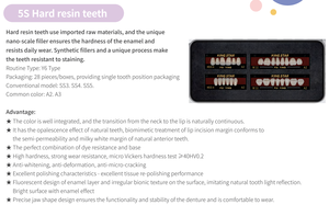 Dents artificielles en acrylique dur Fei Ying, ensemble complet de dents en résine acrylique pour prothèses complètes et partielles - Product Image 3