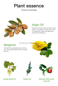 Minyak Penumbuh Jenggot Label Pribadi, Minyak Perawatan Jenggot Anti Rontok, Perawatan Penumbuh Kembali Jenggot, Produksi Asli Cina, OEM ODM - Product Image 3