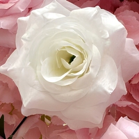Arche florale artificielle en soie rose en forme de cœur pour mariage, toile de fond de cérémonie, décoration de scène, réutilisable et recyclable