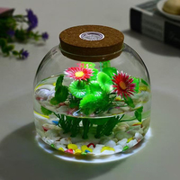 Terrariums en verre transparent avec lumière LED colorée, sans BPA, faits à la main, en verre borosilicate transparent de haute qualité avec couvercle en liège