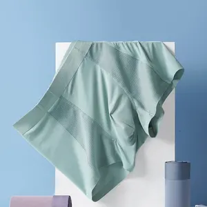 Vente en gros d'usine OEM ODM caleçons sans couture soyeux et confortables avec logo personnalisé caleçons en soie de glace sous-vêtements pour hommes