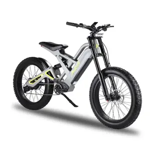 Taiwan Electric Bicycle 1200W Electric Dirt City Bike For Adult Electric Bicycle 52V 20Ah 24 Inch Bicycle Electric Accessories