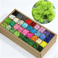 Mousse de renne stabilisée verte naturelle, Kit DIY, Décoration murale artistique, Décoration florale, Halloween, Longue durée 3-5 ans, pour la décoration d'événements