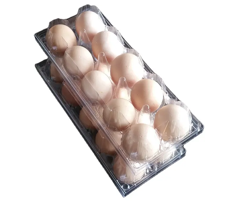 Produk baru sepenuhnya 6*8 lini produksi mesin baki telur otomatis