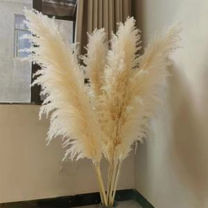 Venta caliente Vendedor superior Decoración Flores secas Blanco Marrón Cañas <span class=keywords><strong>Pampas</strong></span> Hierba Pampasgras grandes para el hogar o la decoración de bodas - Product Image 3
