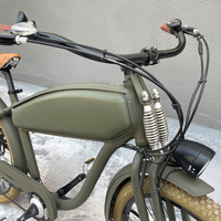 Vélo électrique 26 pouces 48V Brushless Motor 500w City Road Cargo Vantage Ebike