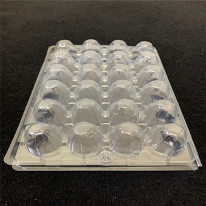 Quail Egg Tray Egg Tray For Eggs New Product Quail Egg Box Transport For 24 Holes Plastic Tray