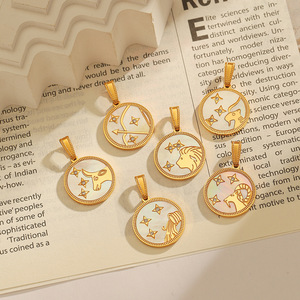 Charme de pièce de monnaie en acier inoxydable plaqué or 18 carats, 12 signes du zodiaque, charme d'<span class=keywords><strong>horoscope</strong></span> en nacre - Product Image 3