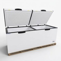 Congelador Horizontal Comercial de Una Sola Temperatura, Eficiente Energéticamente y Compacto, en Oferta a Buen Precio