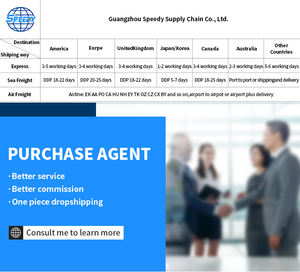 Logística de Envío exprés desde Pakistán Servicios logísticos DDP Logística 3PL para LCL + Express - Product Image 4