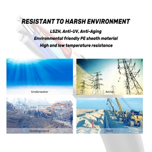 <span class=keywords><strong>Cable</strong></span> de <span class=keywords><strong>Fibra</strong></span> <span class=keywords><strong>Óptica</strong></span> de 48 Núcleos GYDTZA para Exteriores, Fabricación Hongan, Venta al Por Mayor, para Infraestructura de Redes - Product Image 4