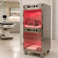 Cage à oxygène chauffante infrarouge pour hôpital vétérinaire avec corps en acier inoxydable pour chats, chiens, lapins et petits animaux