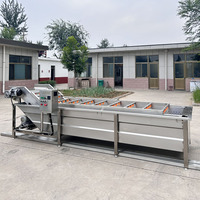 Automatische industriële luchtbel ozon fruitwasmachine groente- en fruitwasmachine met belletjes